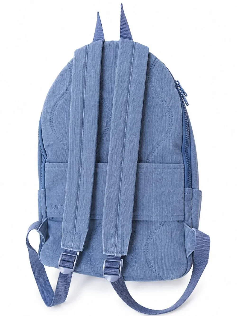Dare To Roam DTR Blue Canvas Backpack School Travel Daypack